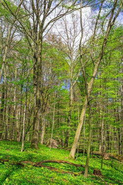 180 Vfm mehr als im Durchschnitt