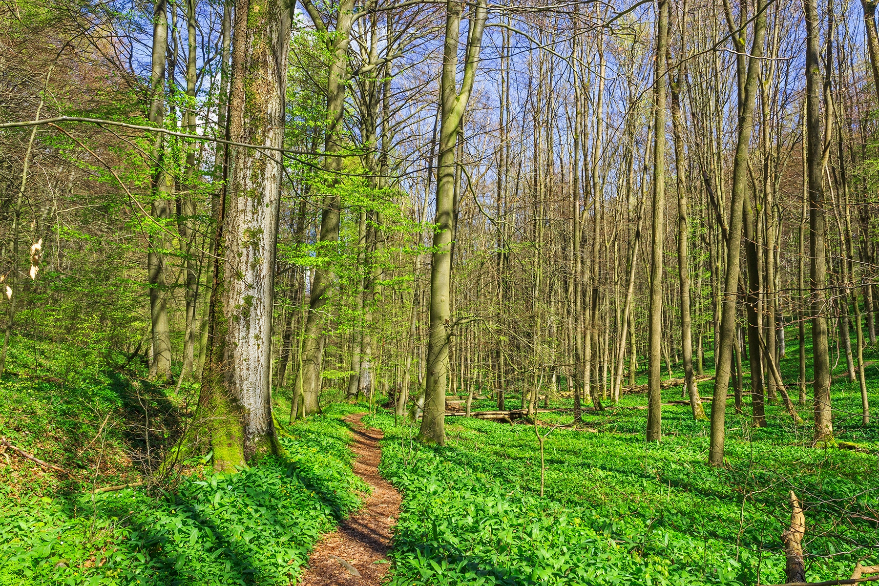 Wanderweg durch das Brunstal