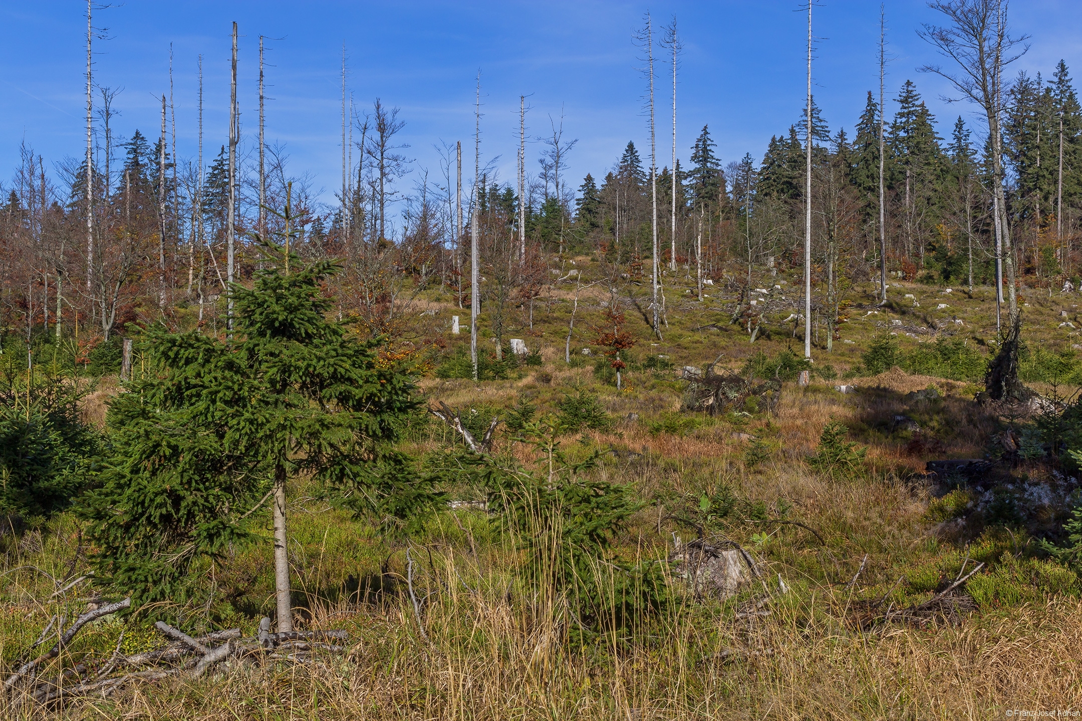Vorderes_Wildscheuereck
