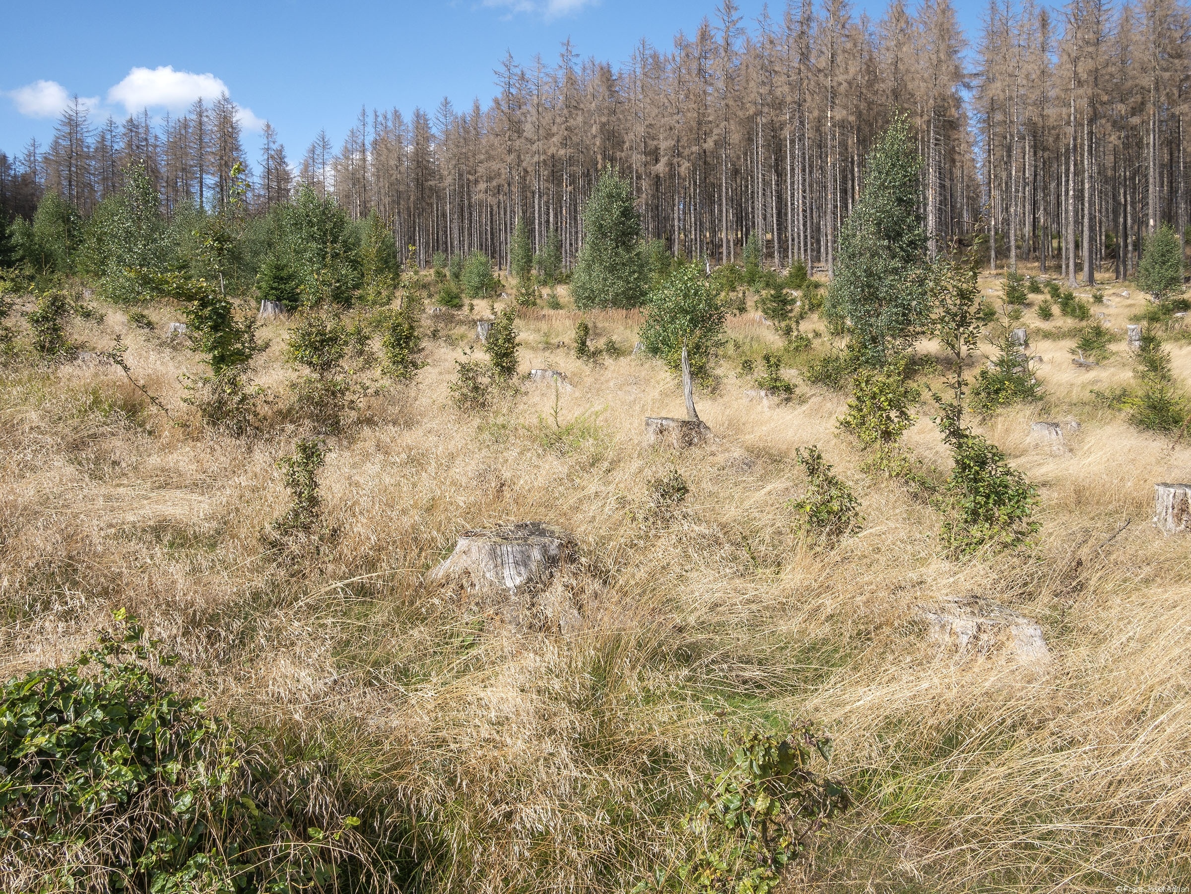 Scheitern_Schwarzer_Graben_1