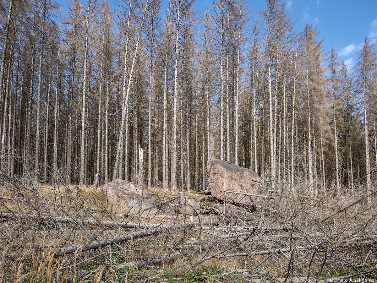 Scheitern_Schwarzer_Graben_4