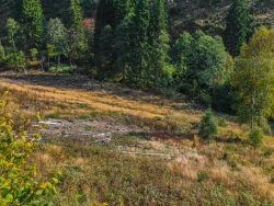 "Motto des Nationalparks: Natur Natur sein lassen“