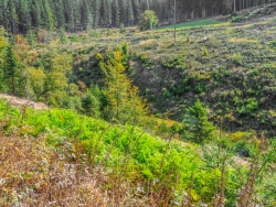 "Hochwertigkeit der Naturausstattung"
