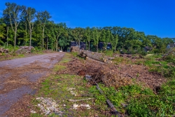 leergeräumter ehemaliger Virchowwald, Blick die Virchowstraße entlang nach Norden