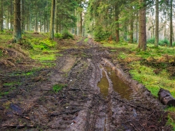 verschlammter Forstweg