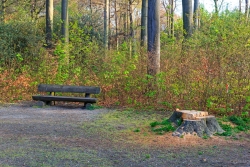 Naherholung in Bottrop