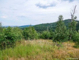 Schloteberg-4K-7