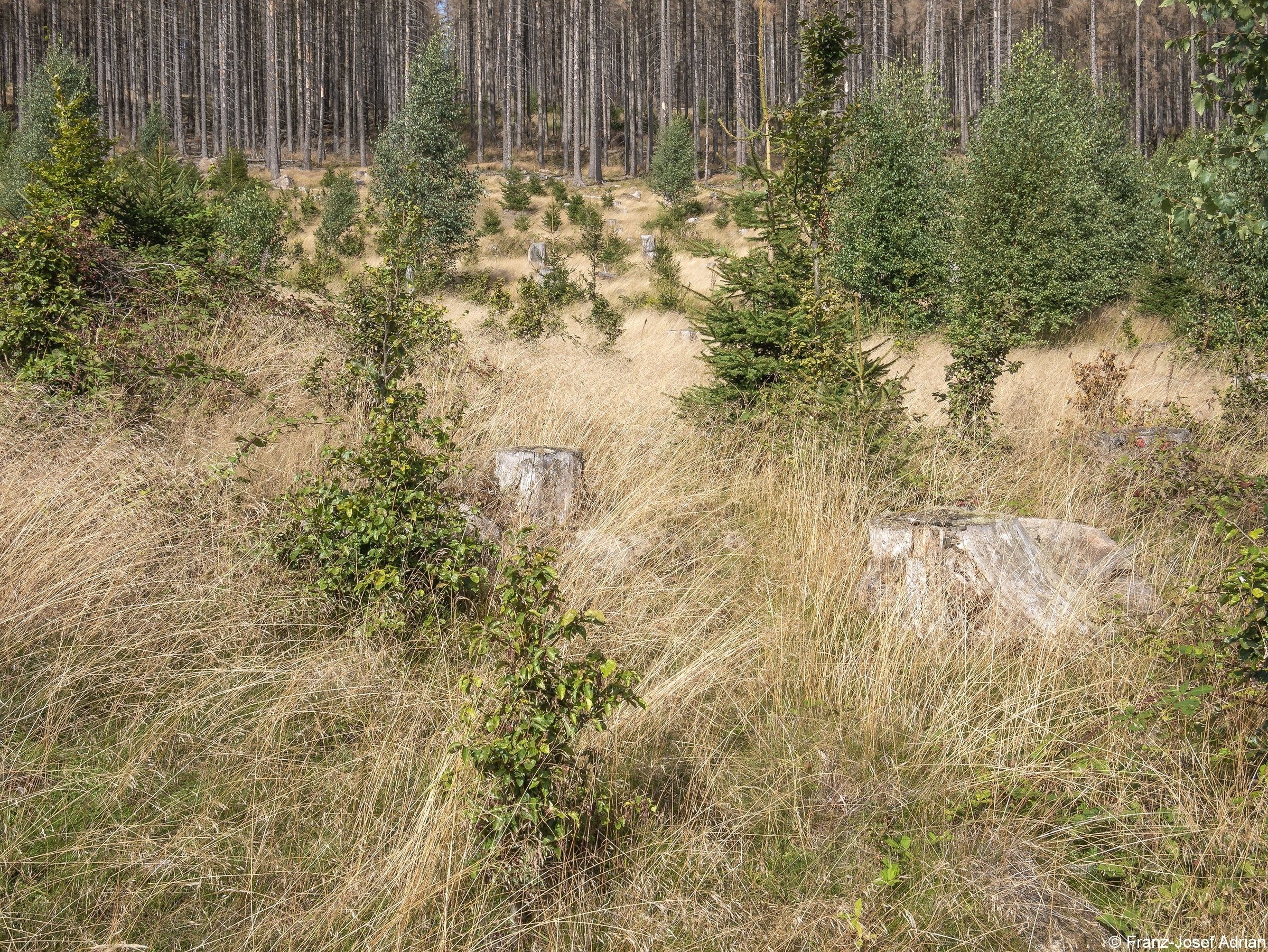 Schwarzer_Graben_6