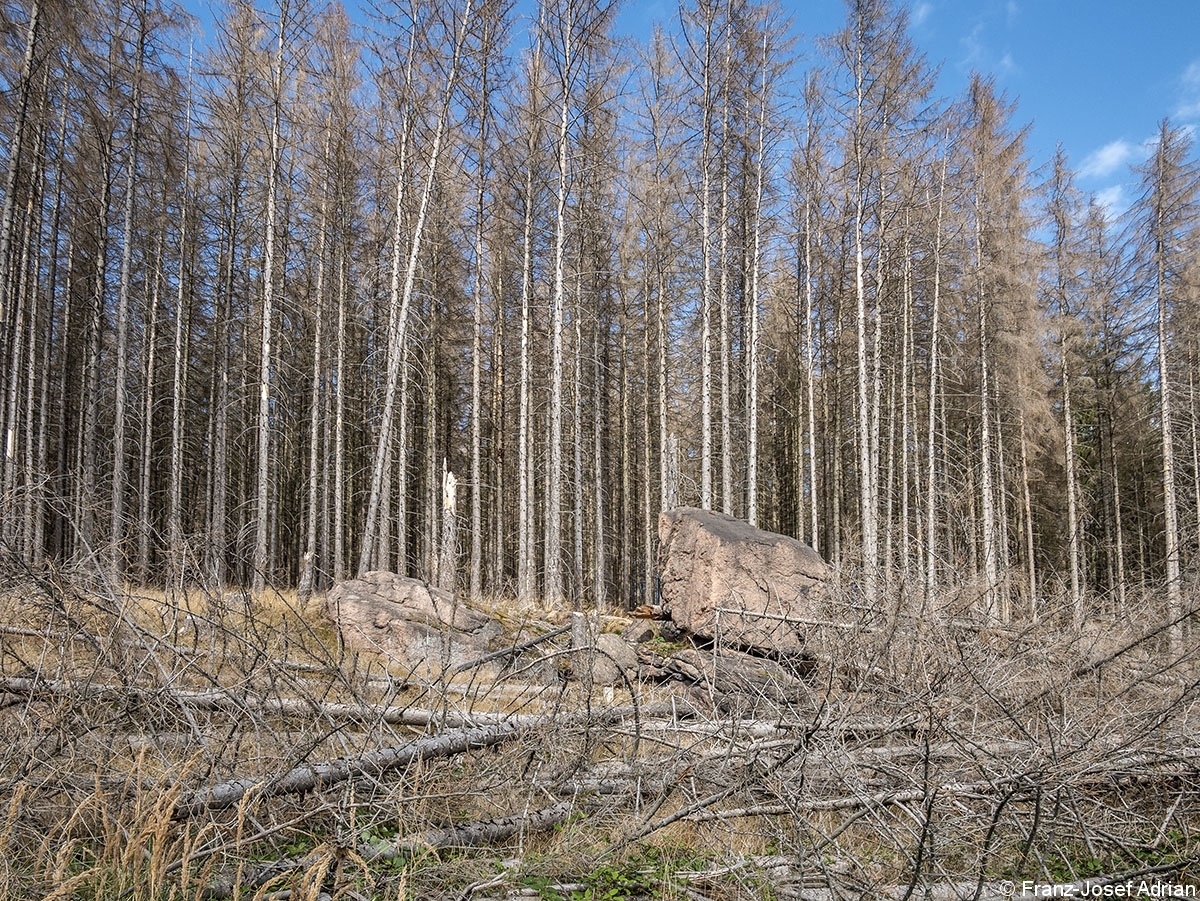 Schwarzer_Graben_8