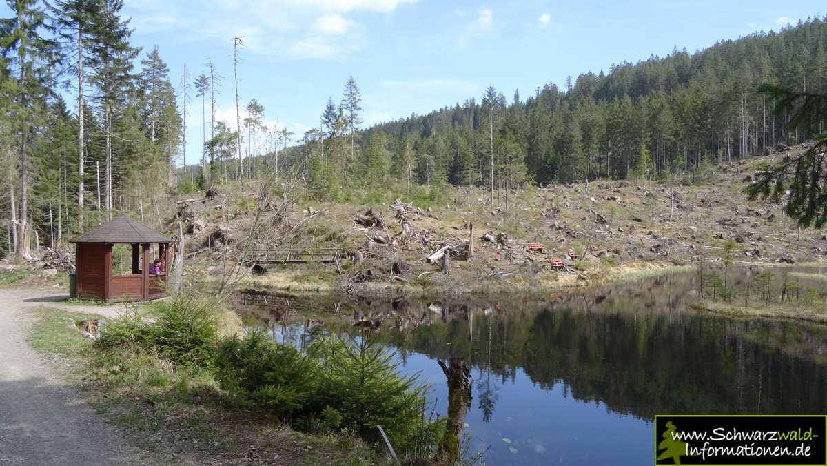 Huzenbacher_2014_2