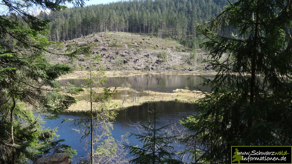 Huzenbacher_2014_3