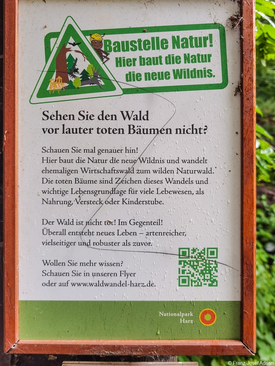 Sicherheitsstreifen-13