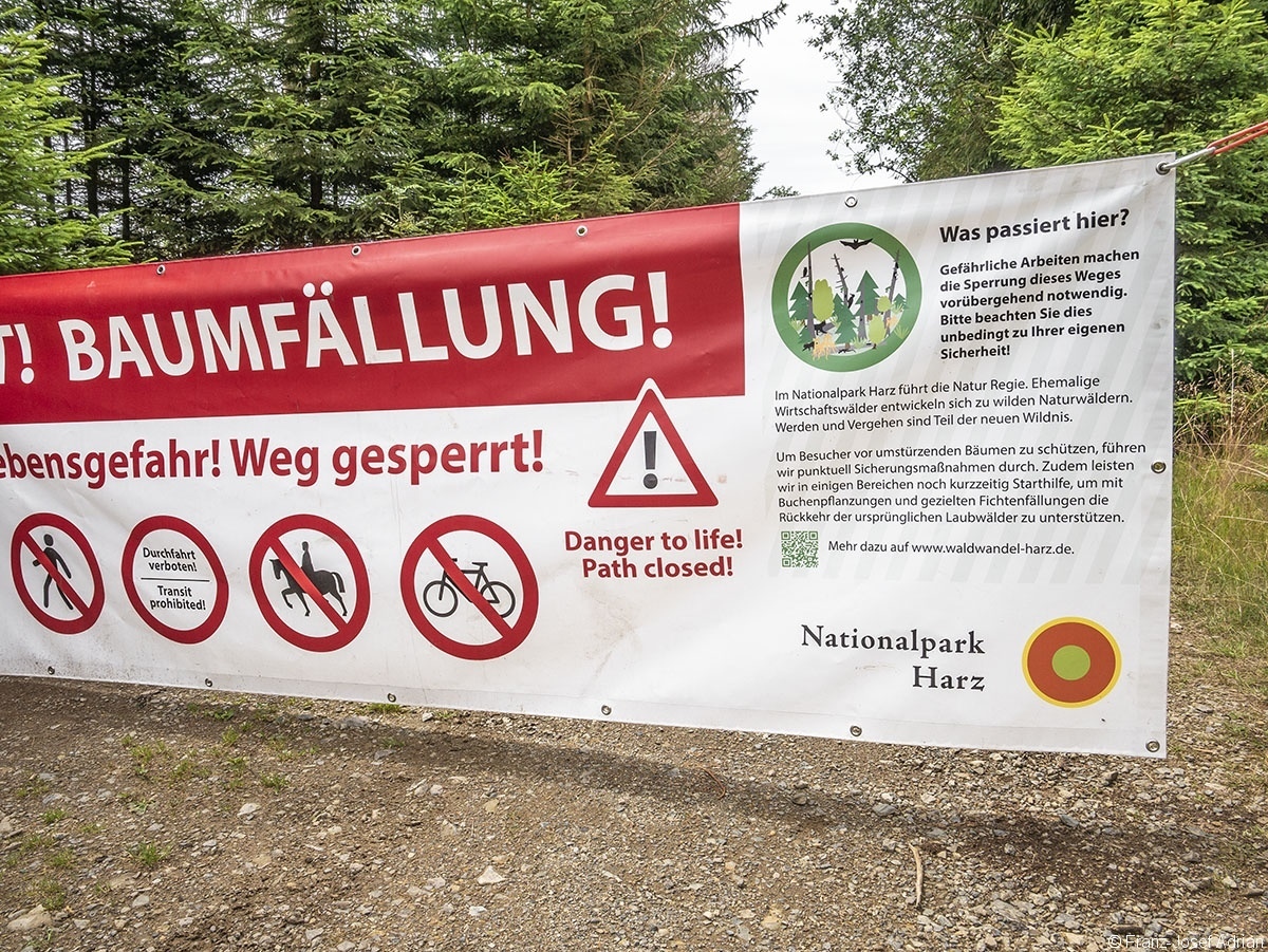 NLP_Harz_Sicherungsstreifen_07