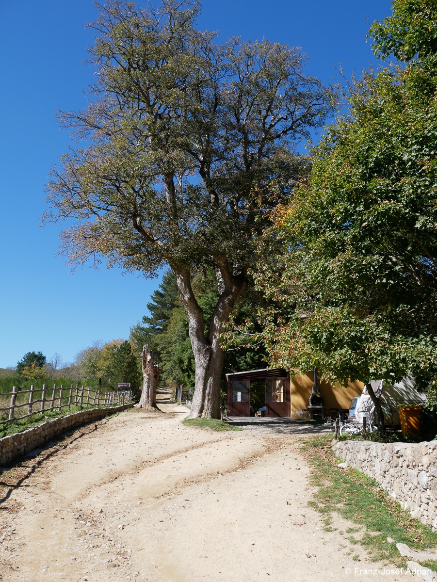 Giganti-Sila-38