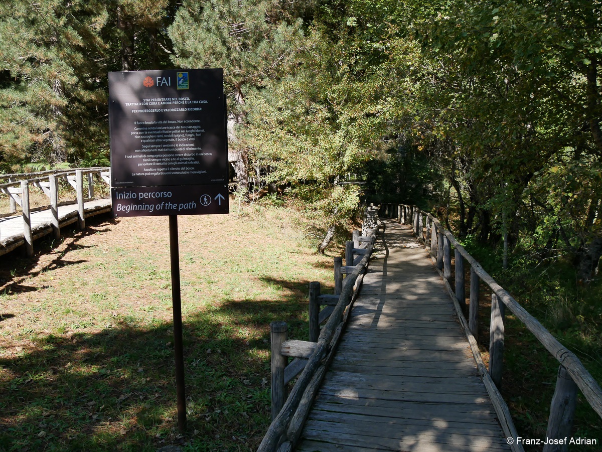 Giganti-Sila-4