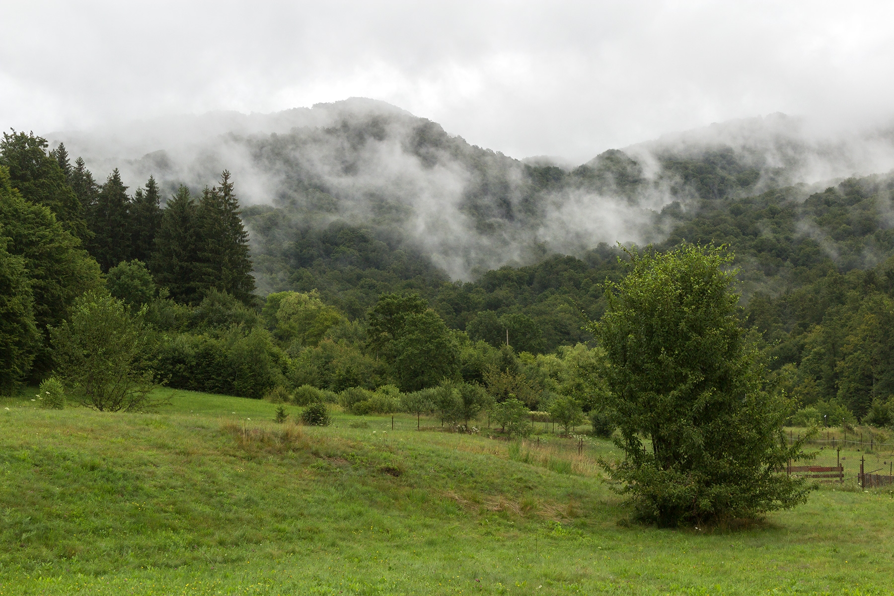 Silberparadies_Uholka_10