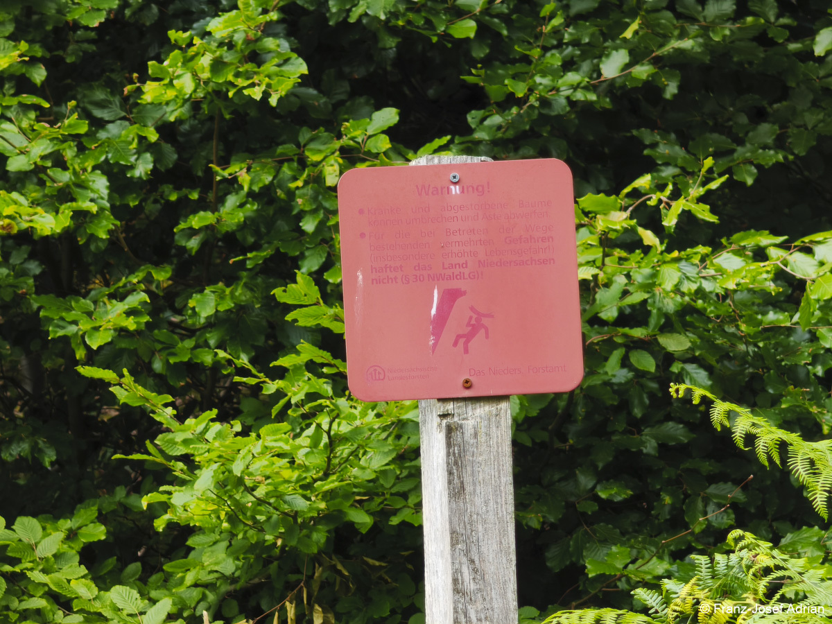 Wildnisgebiet_Solling-30
