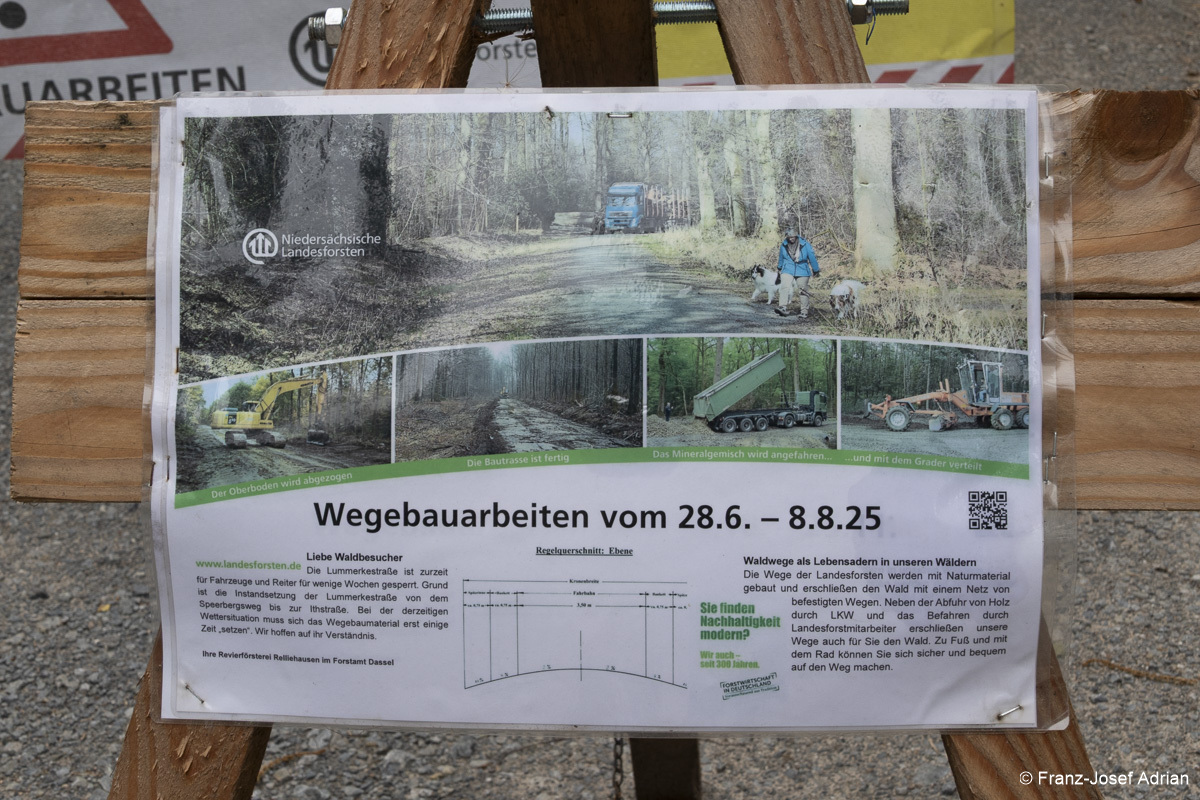Wildnisgebiet_Solling-7