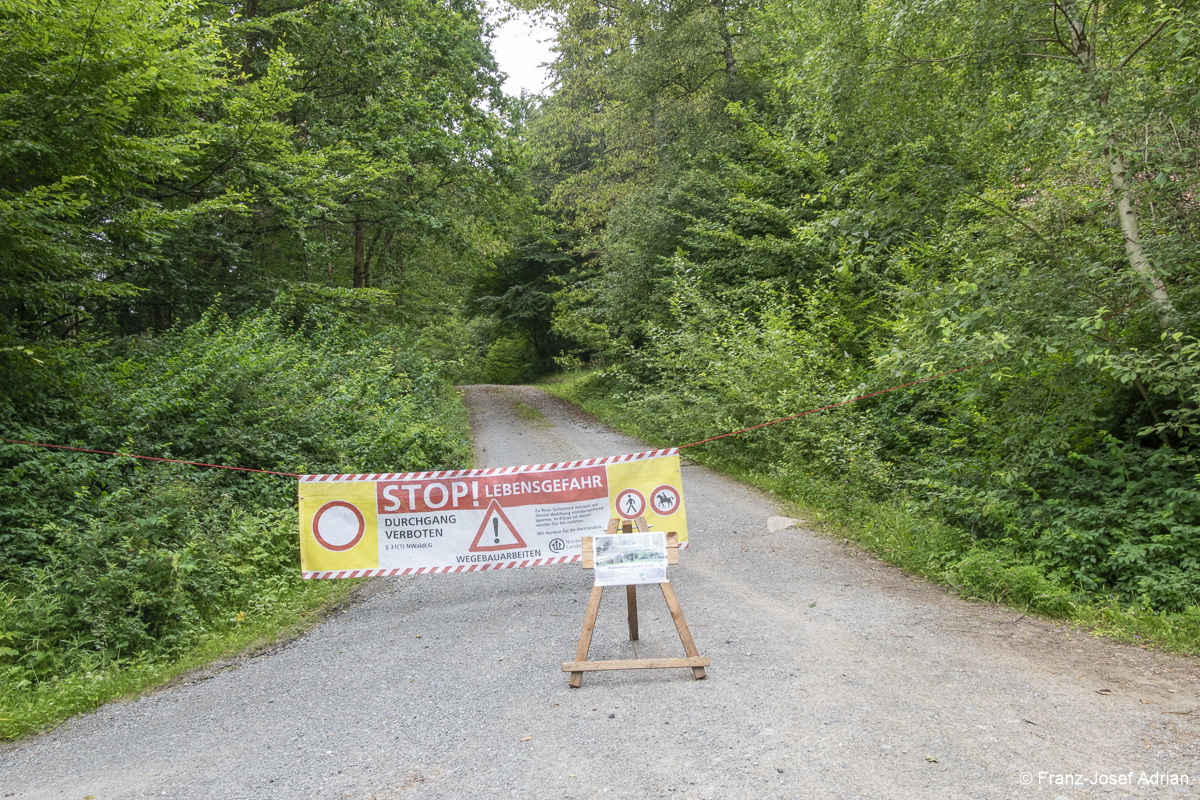 Wildnisgebiet_Solling-8