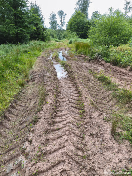 Wildnisgebiet_Solling-56