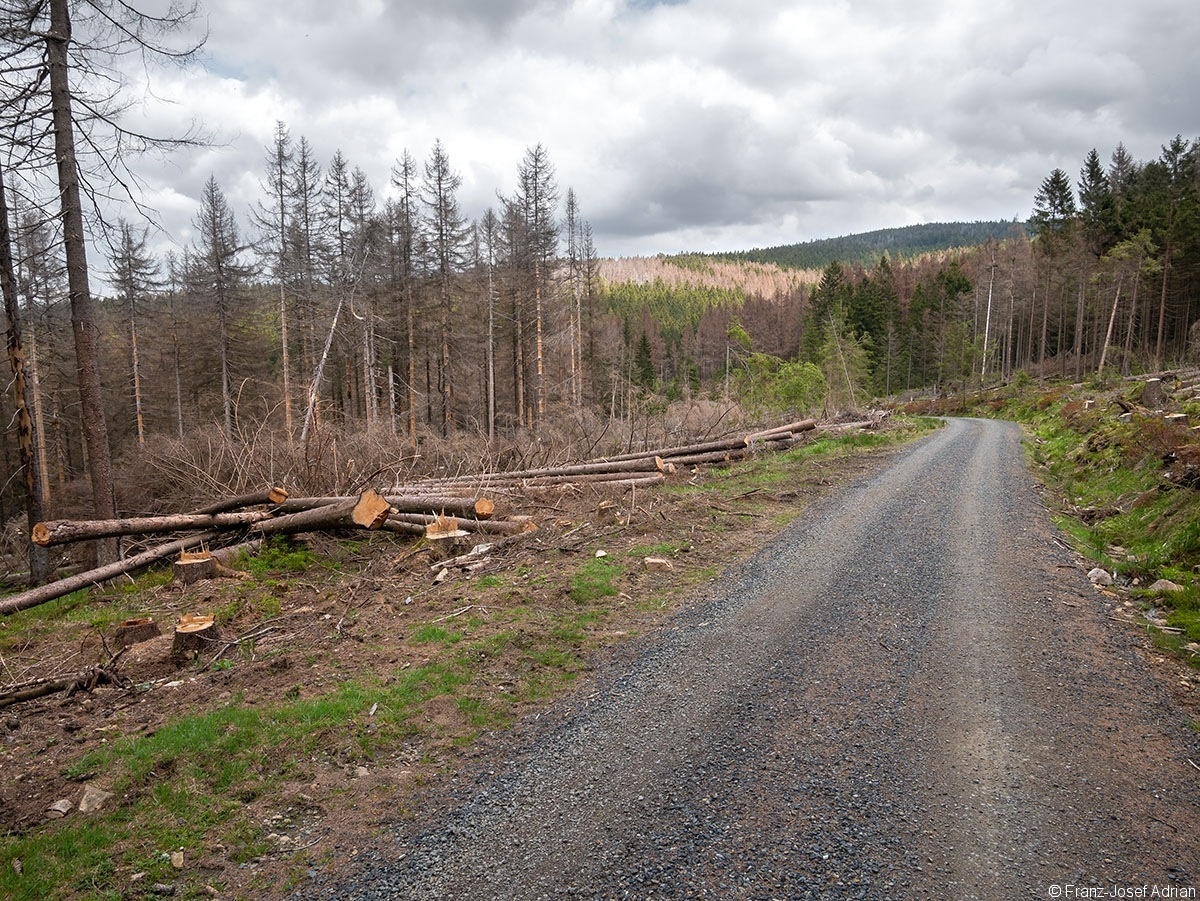 Verkehrssicherung_NLP_Harz