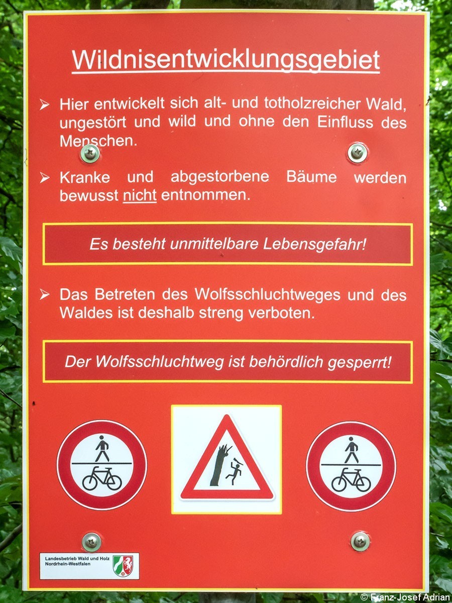 Wildnisentwicklungsgebiet