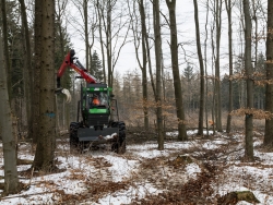 Forstrückeschlepper fährt kreuz und quer durch den Wald