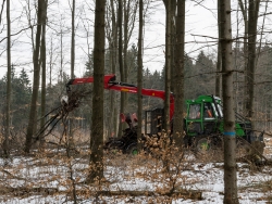 Forstrückeschlepper ergreift Kronenabfall