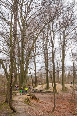 spielende Kinder unter Habitatbäumen