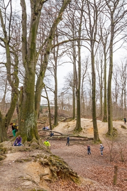 Altholzinsel als Kinderspielplatz