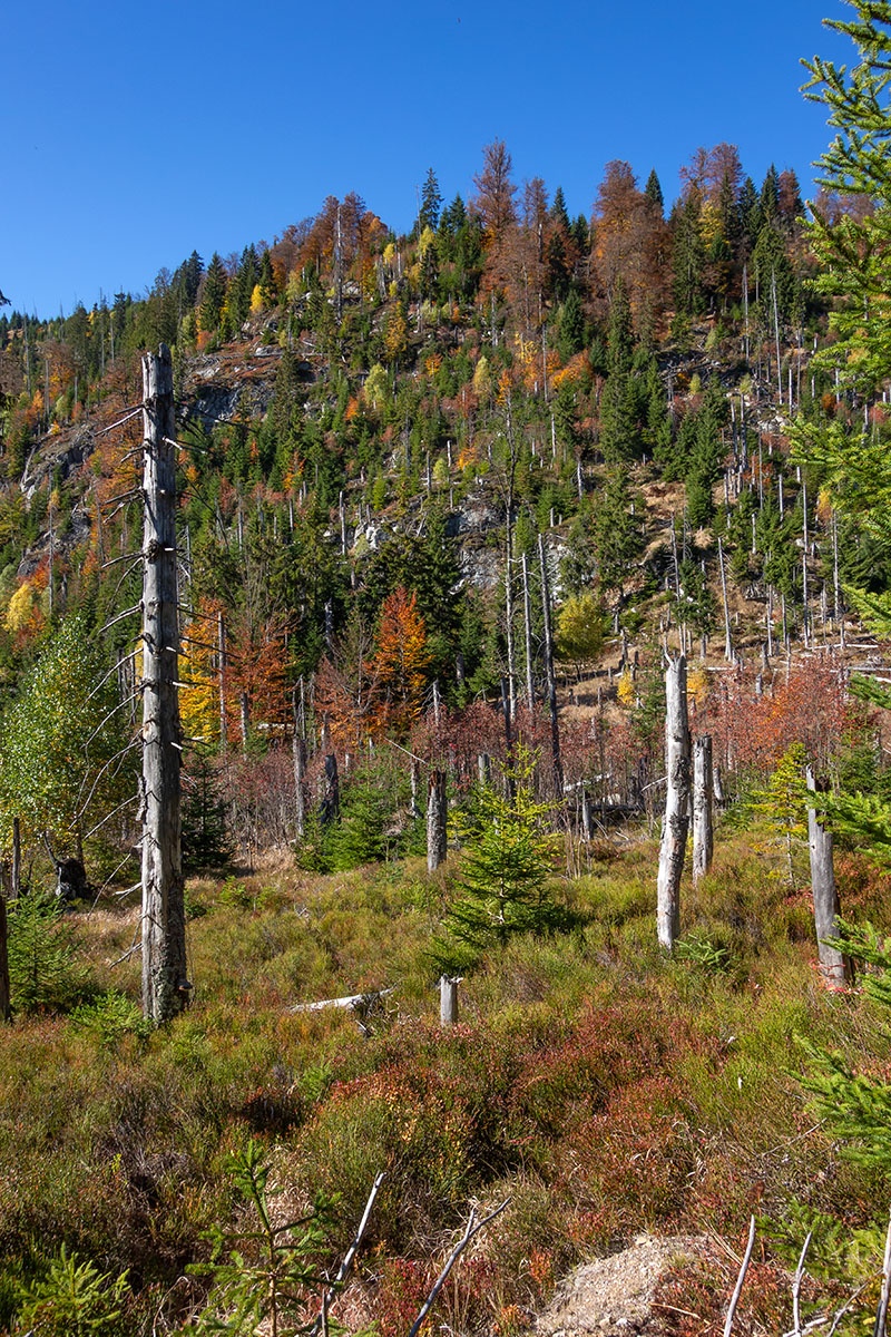 Steinfleckberg_03