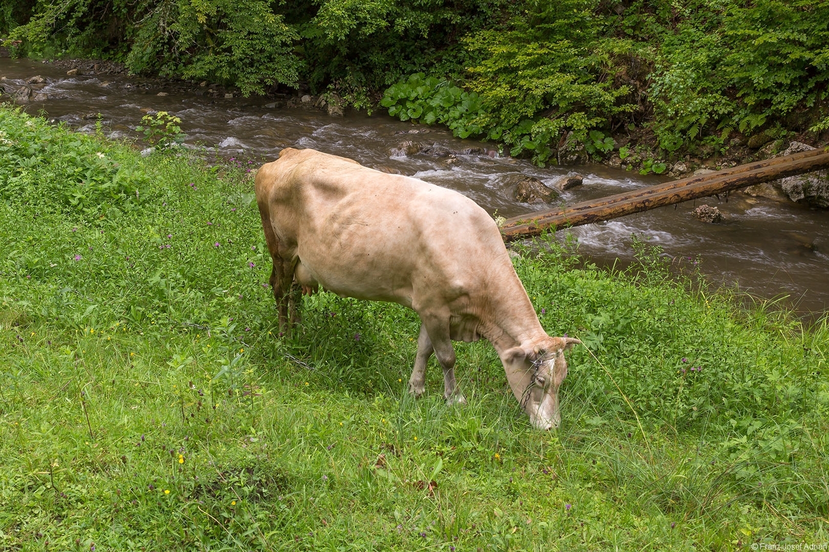 Uholka_Stromschnellen_04