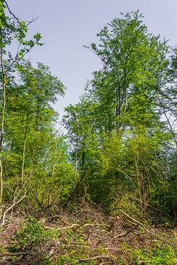 hässliche Baustellenoptik am Rand des Wanderwegs