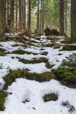 Stufen des Schneelochwegs im Winter