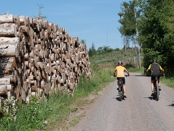 MTB_Ilsenburg