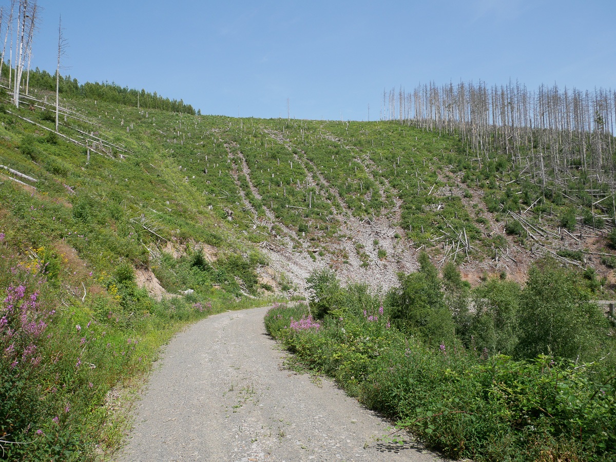 Rueckegassen-10