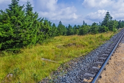 Einstieg in den Schneelochweg links neben den Bahngleisen