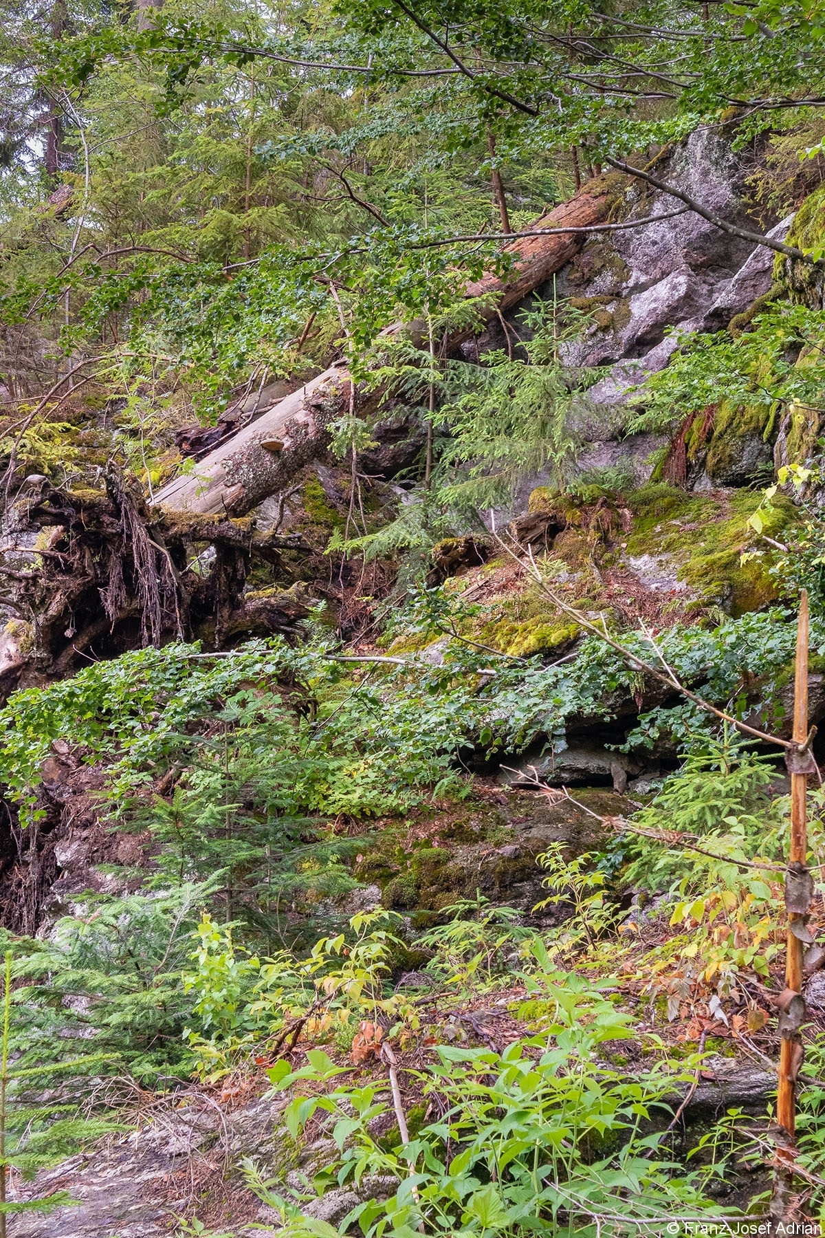 Hochfels_1