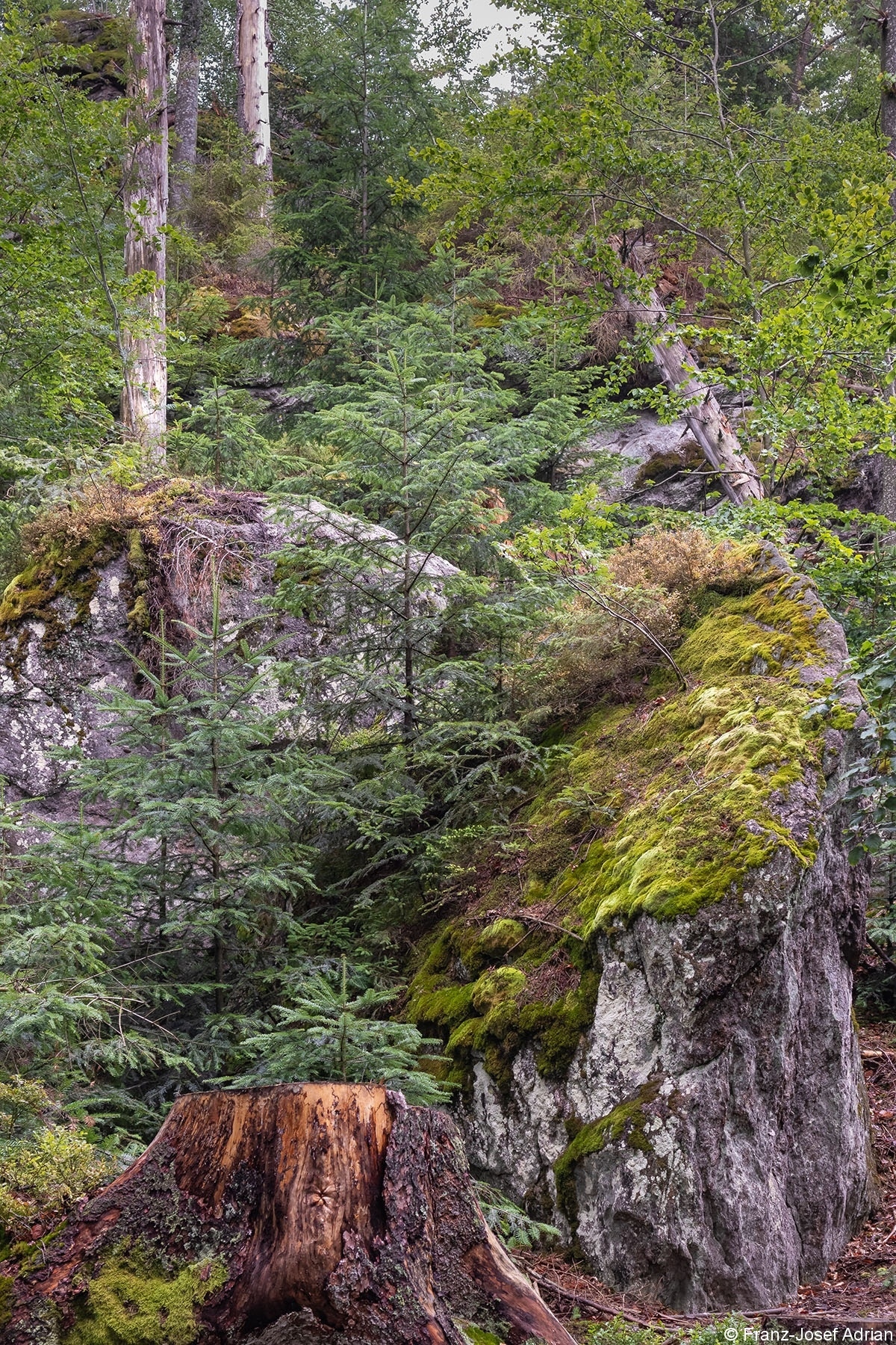 Hochfels_3