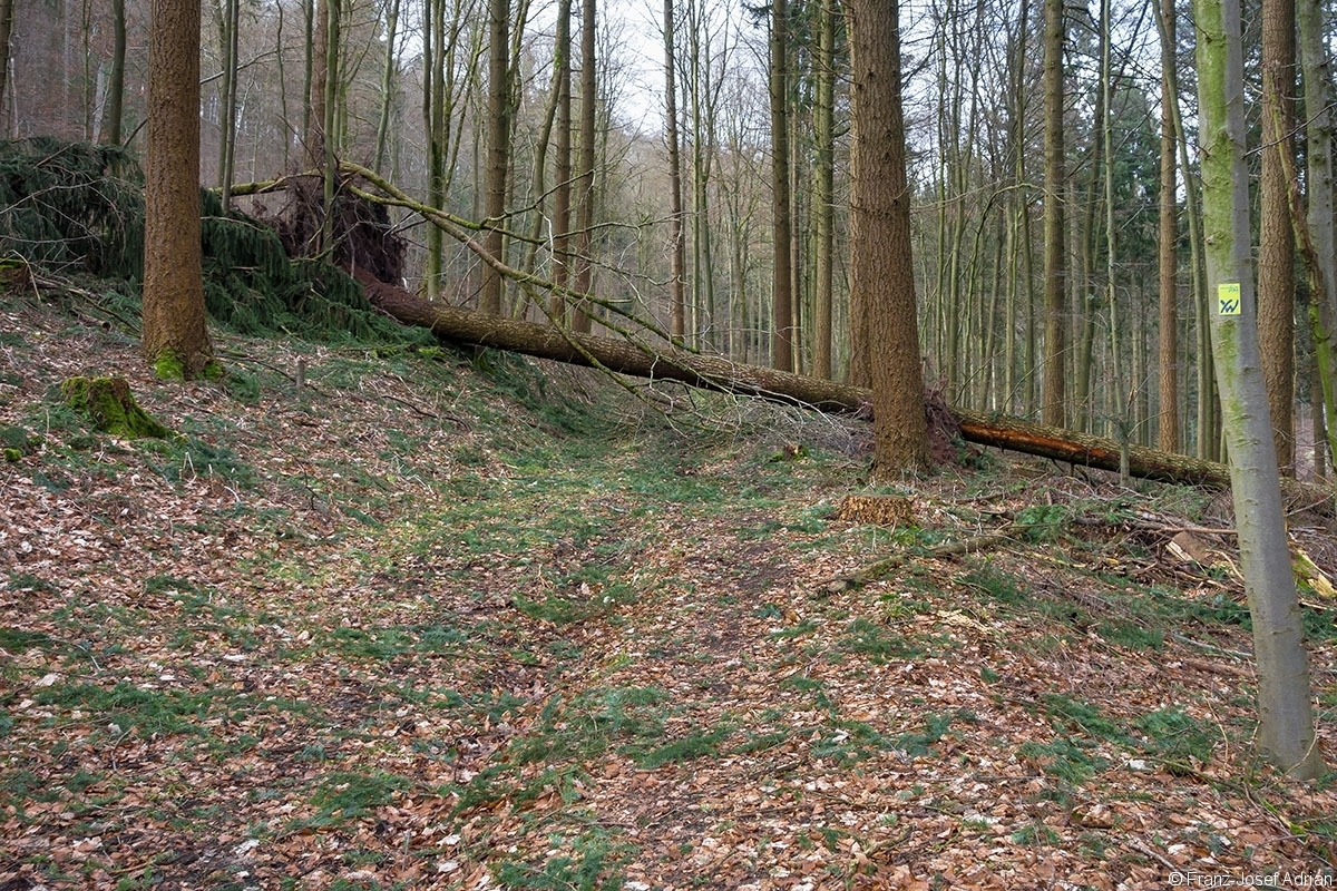 Vogler_08