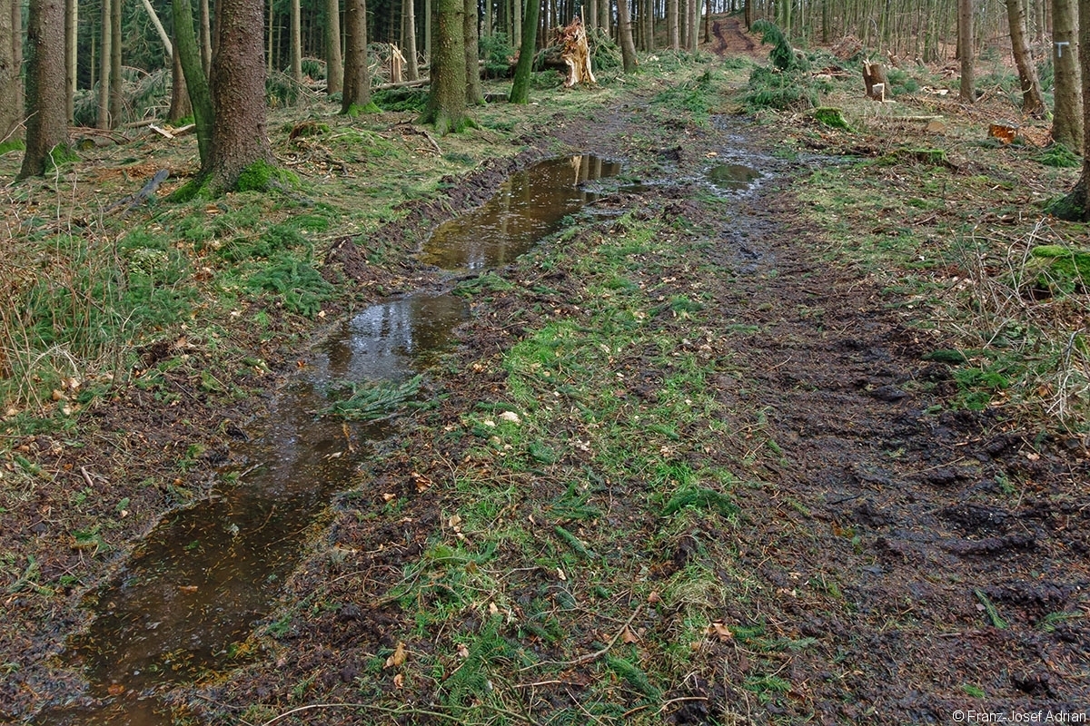Vogler_09