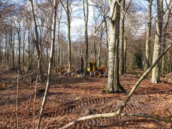 neue Rückegasse im Vordergrund, Rückeschlepper im Hintergrund