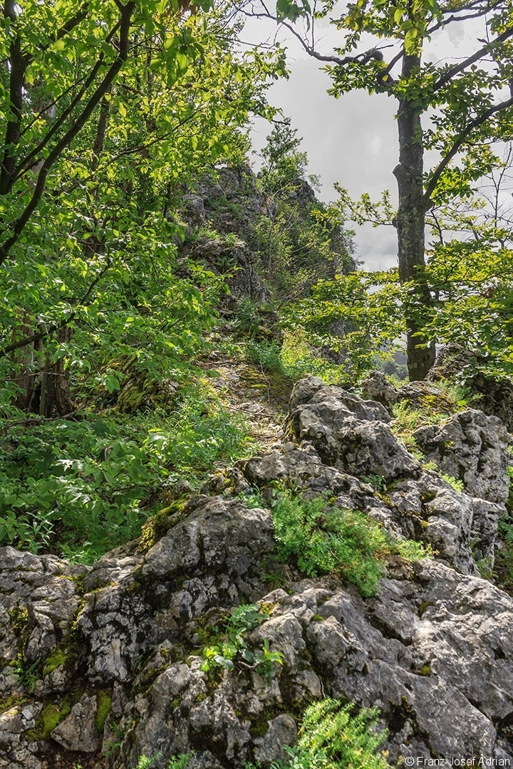 Welyka_Kopyzja_09