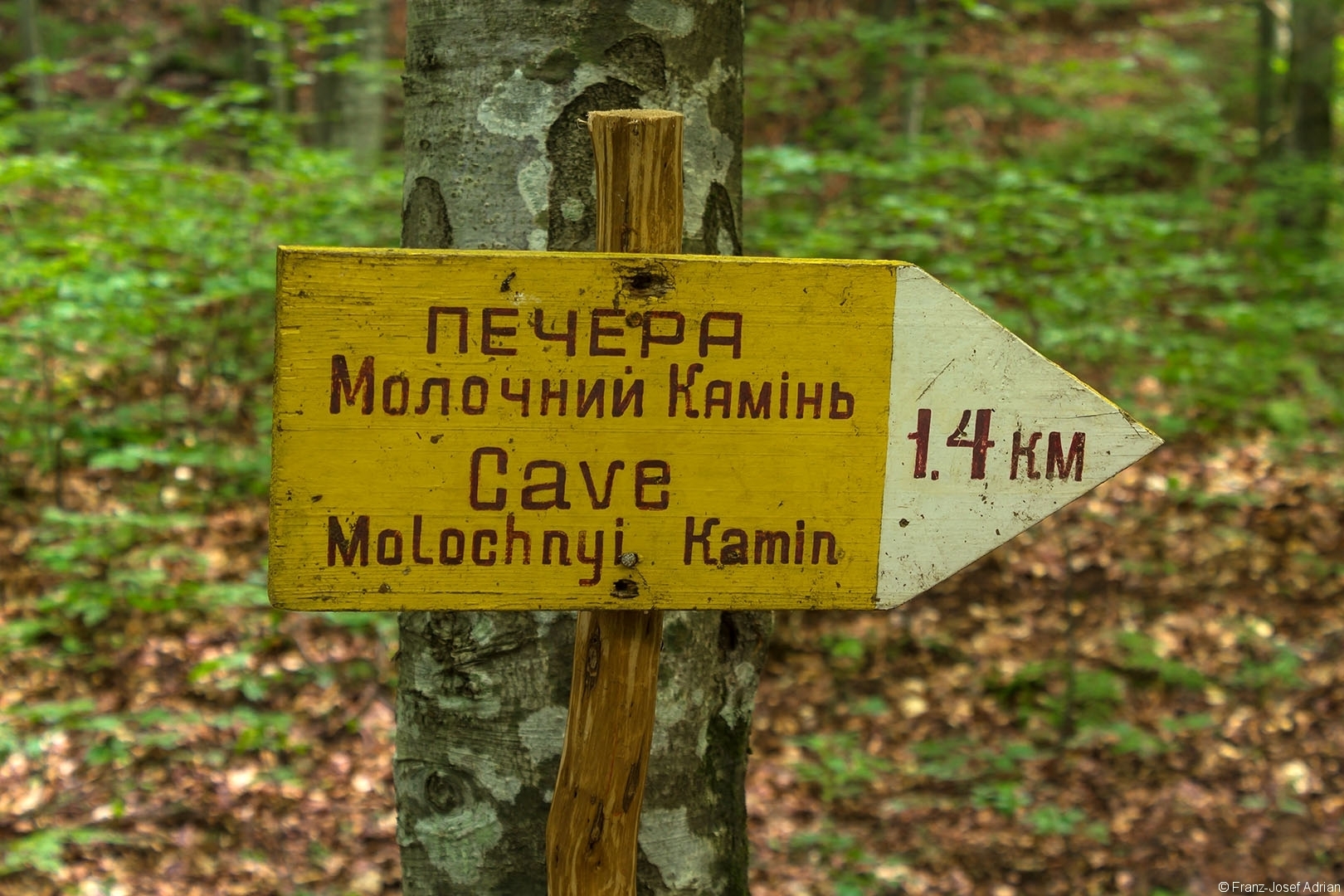 Welyka_Uholka_10