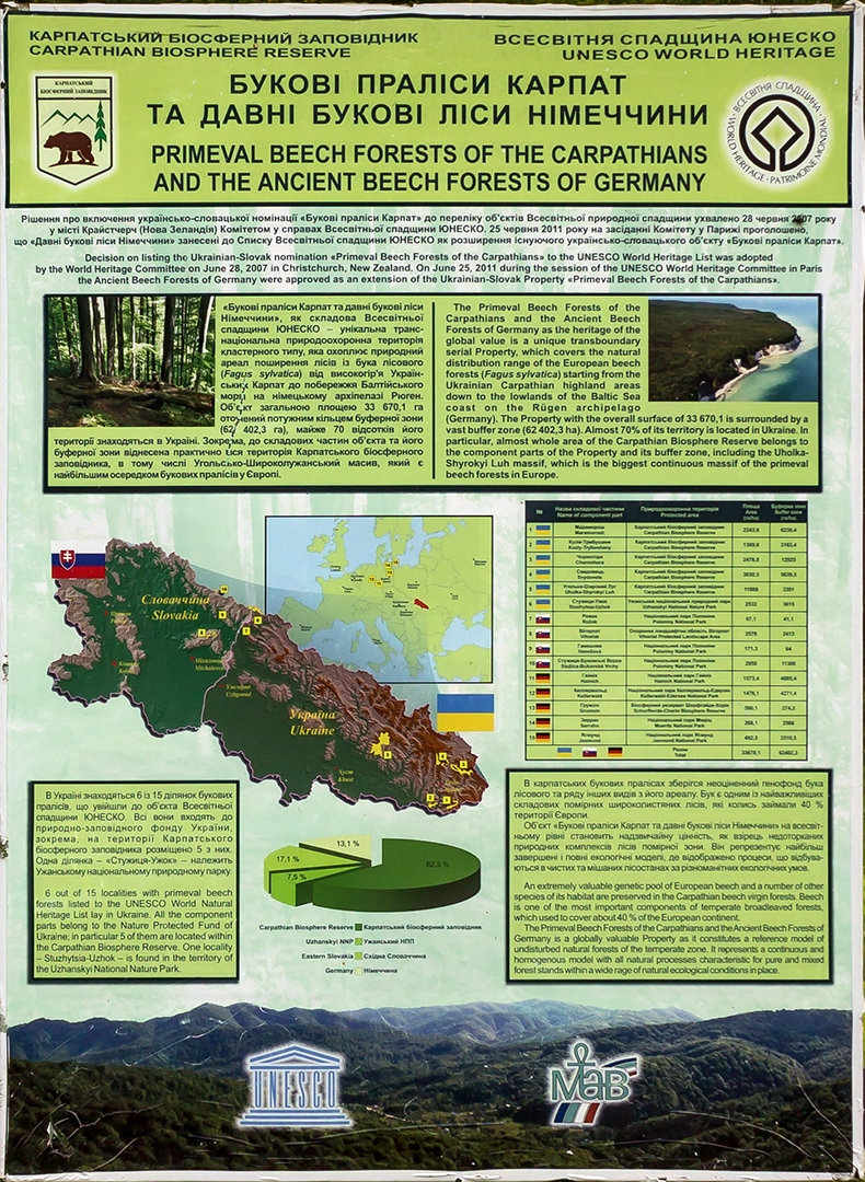 Informationstafel über das UNESCO-Weltnaturerbe "Urwälder der Karpaten und Alte Buchenwälder Deutschlands"