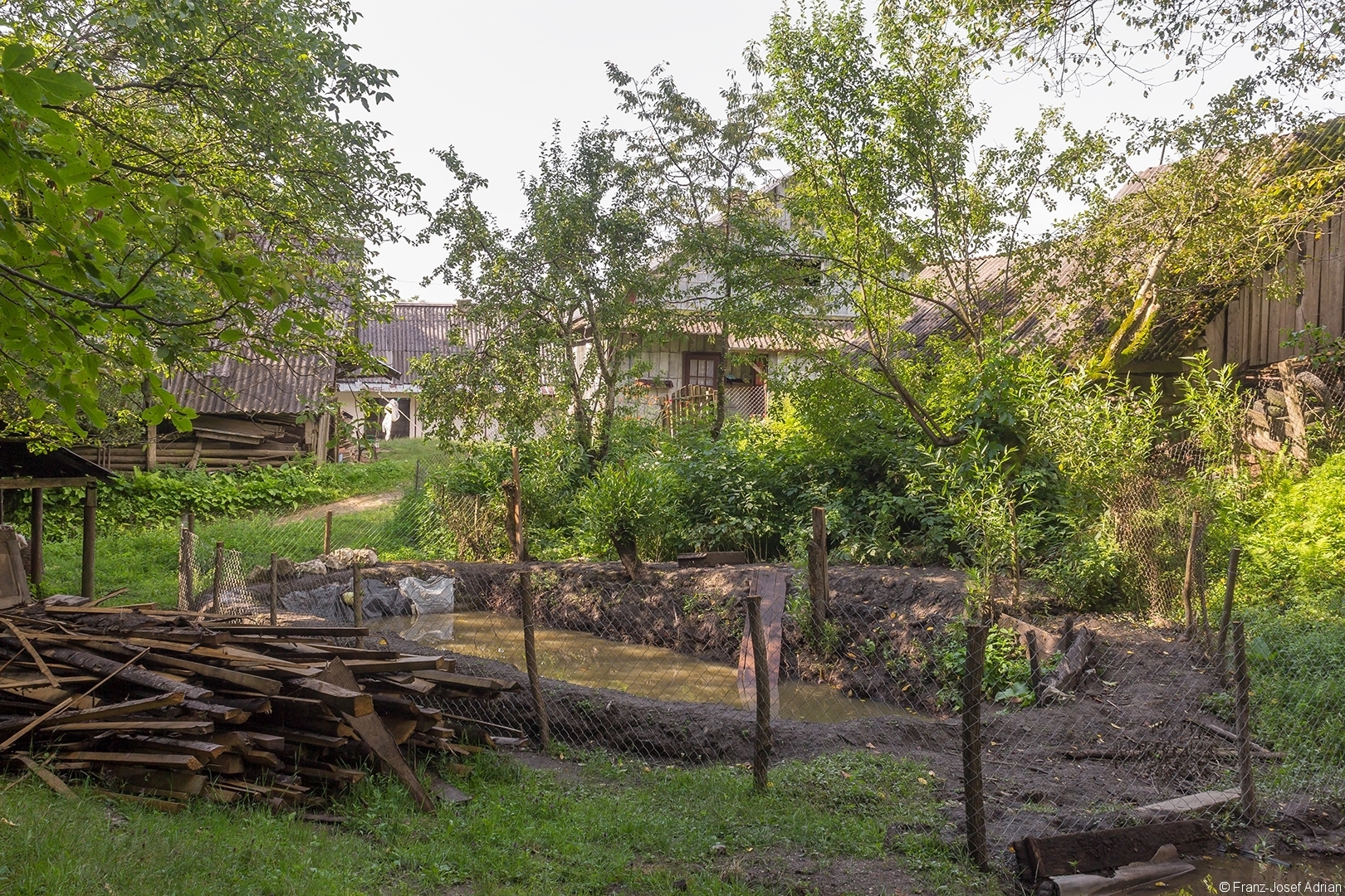 letztes Bauernhaus vor dem Urwald