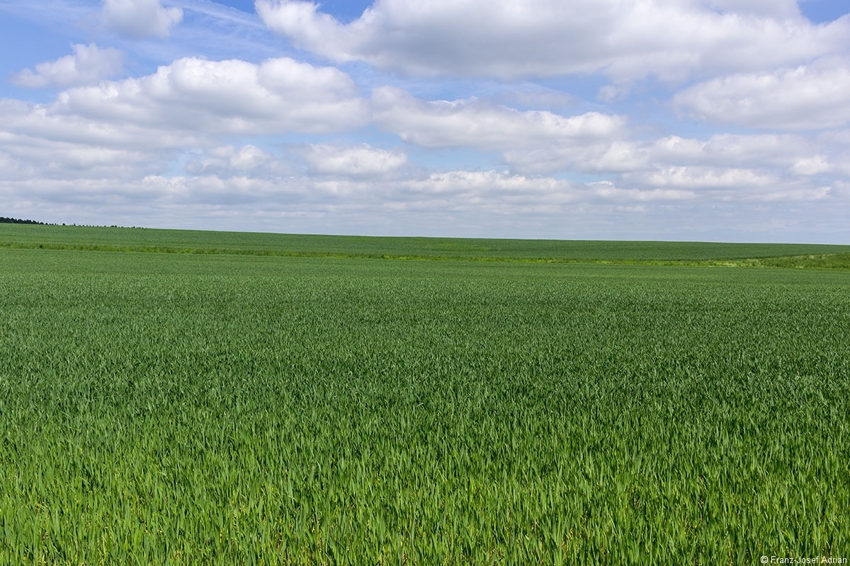 Landwirtschaft_Hainich