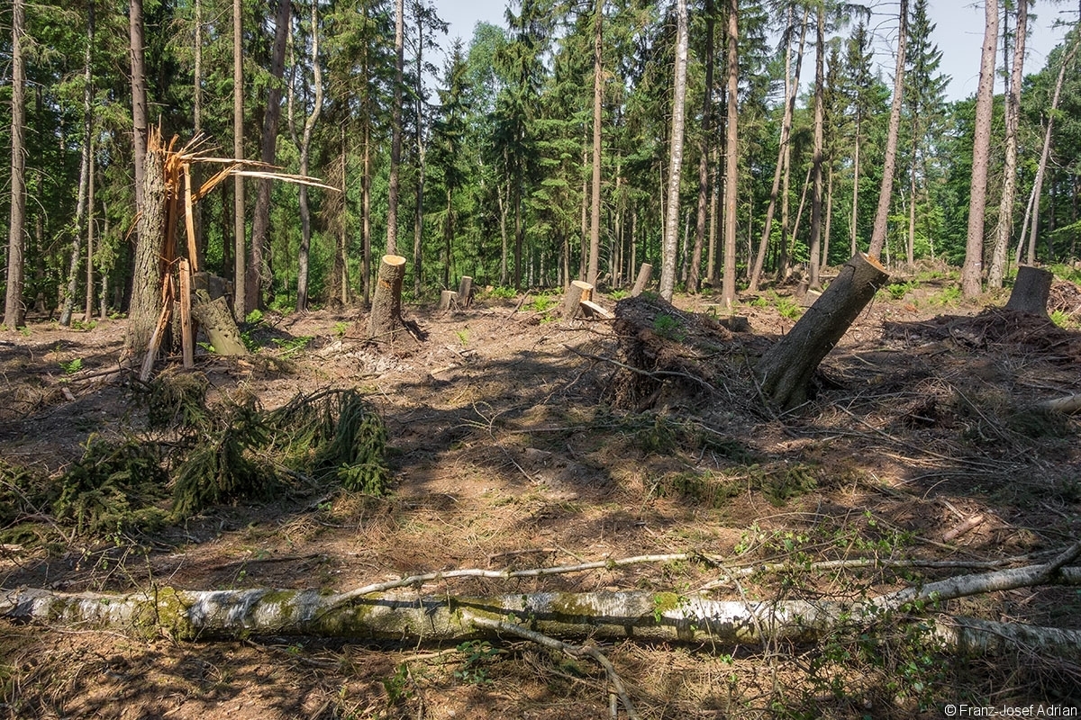Weserberglandweg_Sievershagen_1