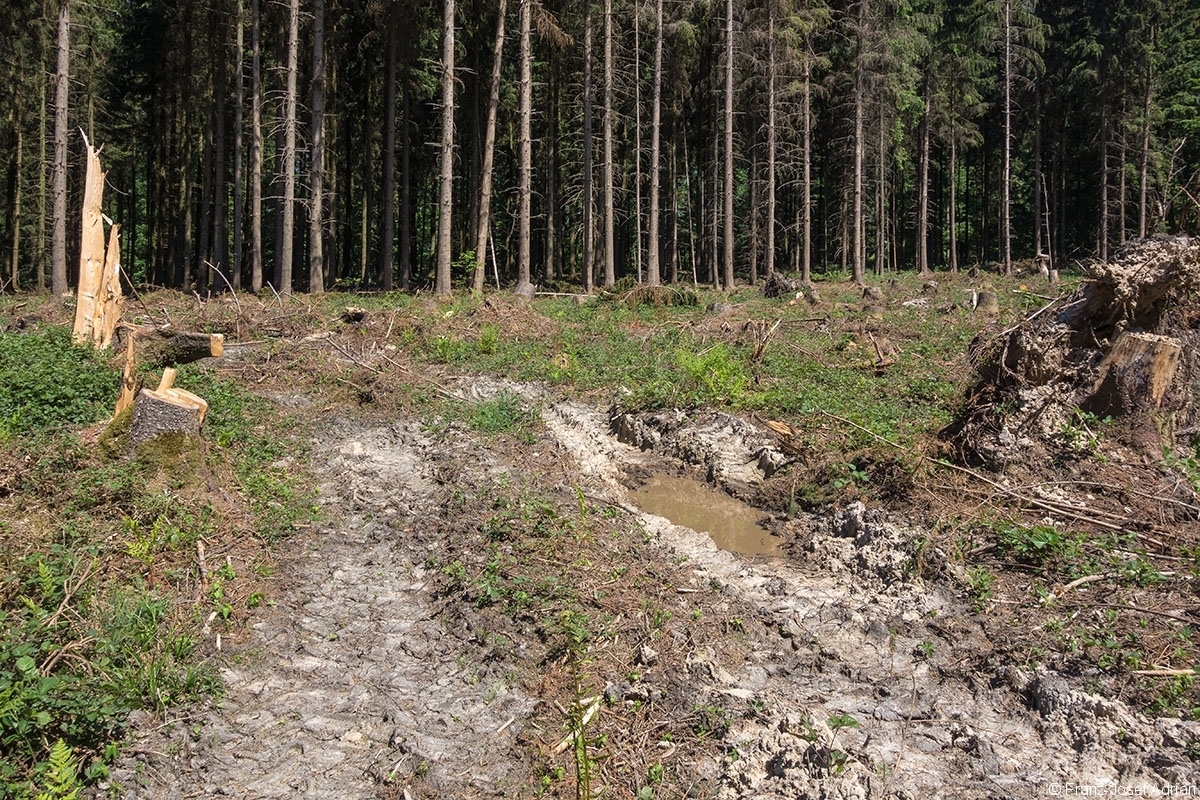 Weserberglandweg_Sievershagen_2