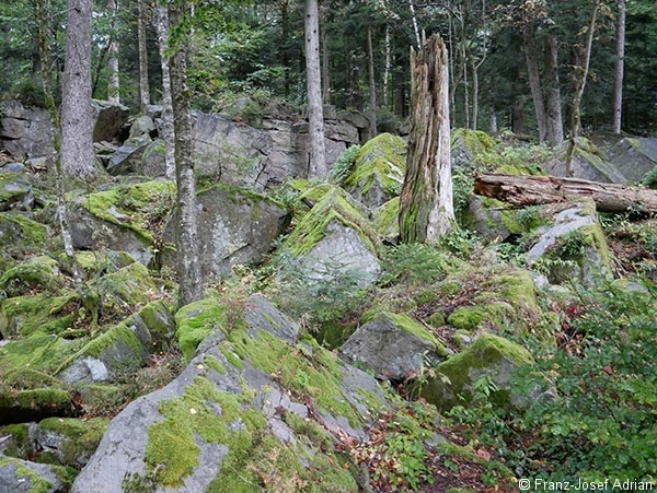 Volzemer_Stein